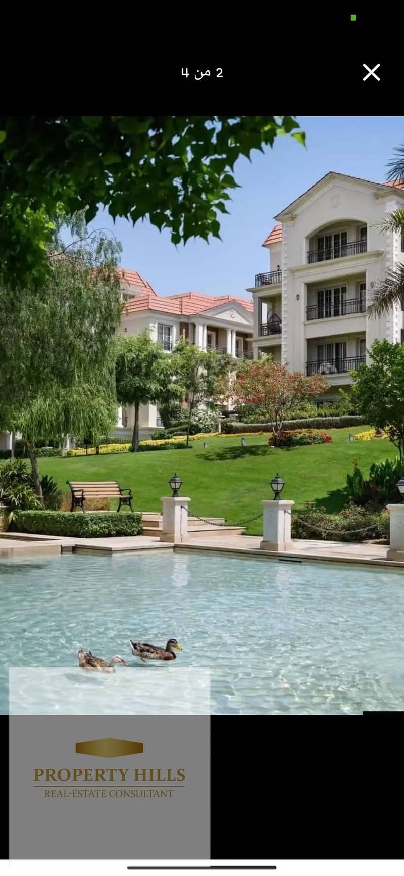 10 IMG_3018. jpeg