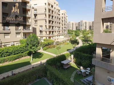 3 Bedroom Flat for Sale in New Cairo, Cairo - cce68134-ad8c-4b83-9d8e-efa707347840. jpg 3 Bedroom Flat for Sale in New Cairo, Cairo - cce68134-ad8c-4b83-9d8e-efa707347840. jpg