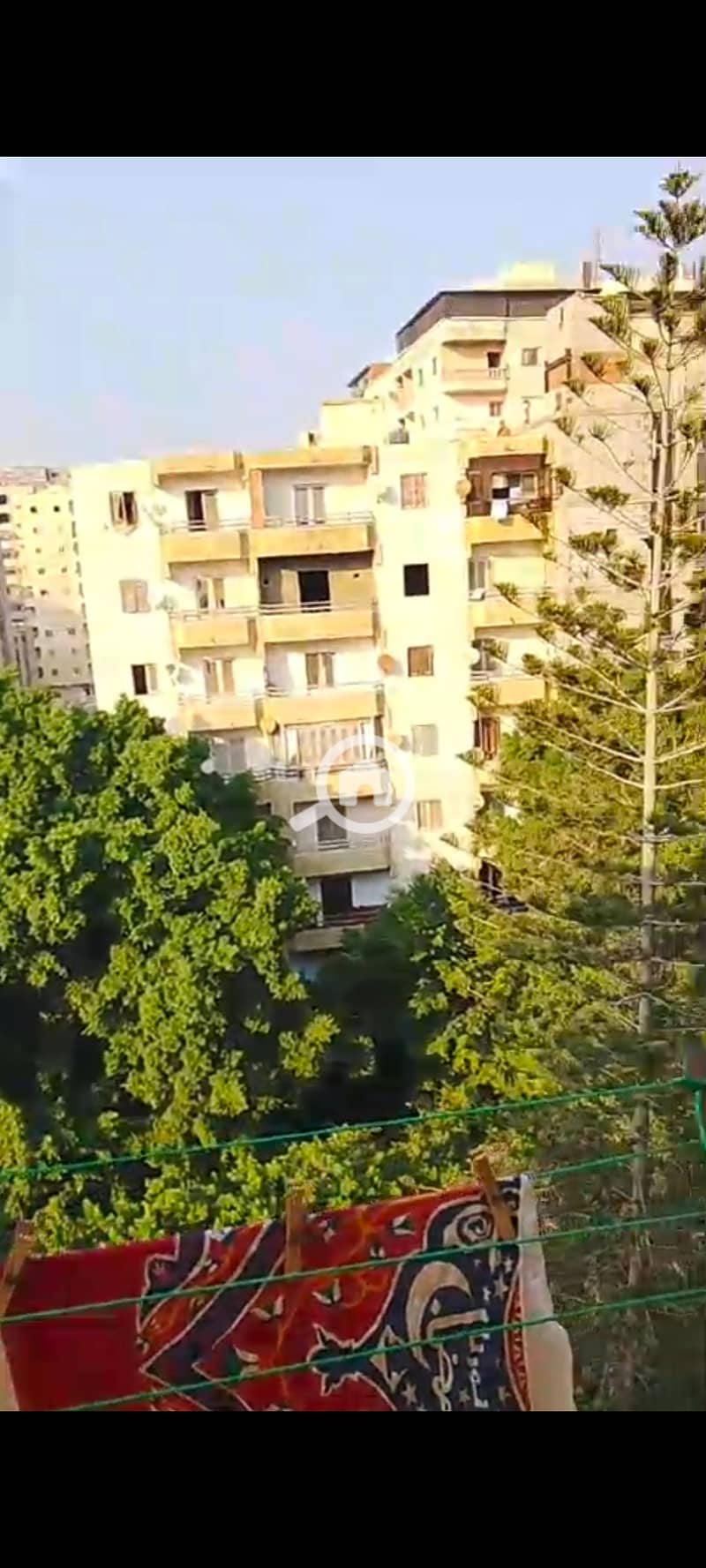 59385. jpg 59385. jpg