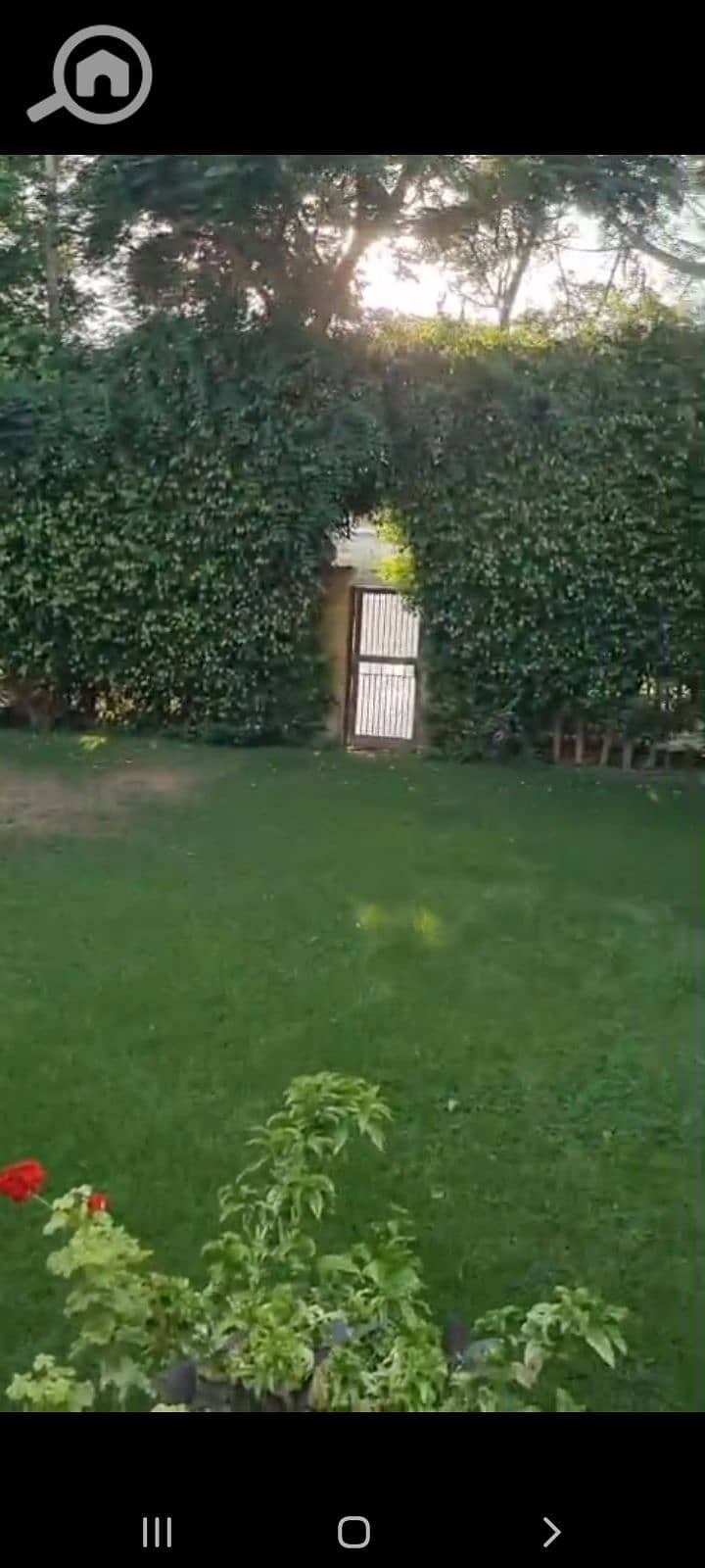 WhatsApp Image 2026-08-11 at 5.50. 47 PM. jpeg WhatsApp Image 2026-08-11 at 5.50. 47 PM. jpeg