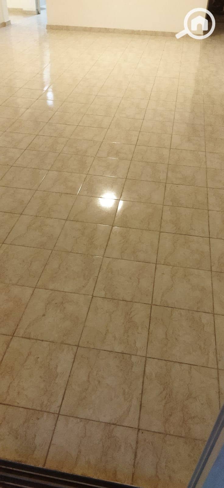 5 1000731143. jpg