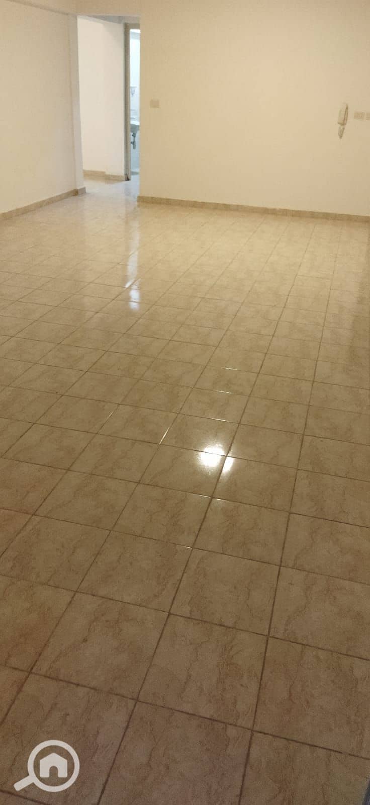 17 1000731142. jpg