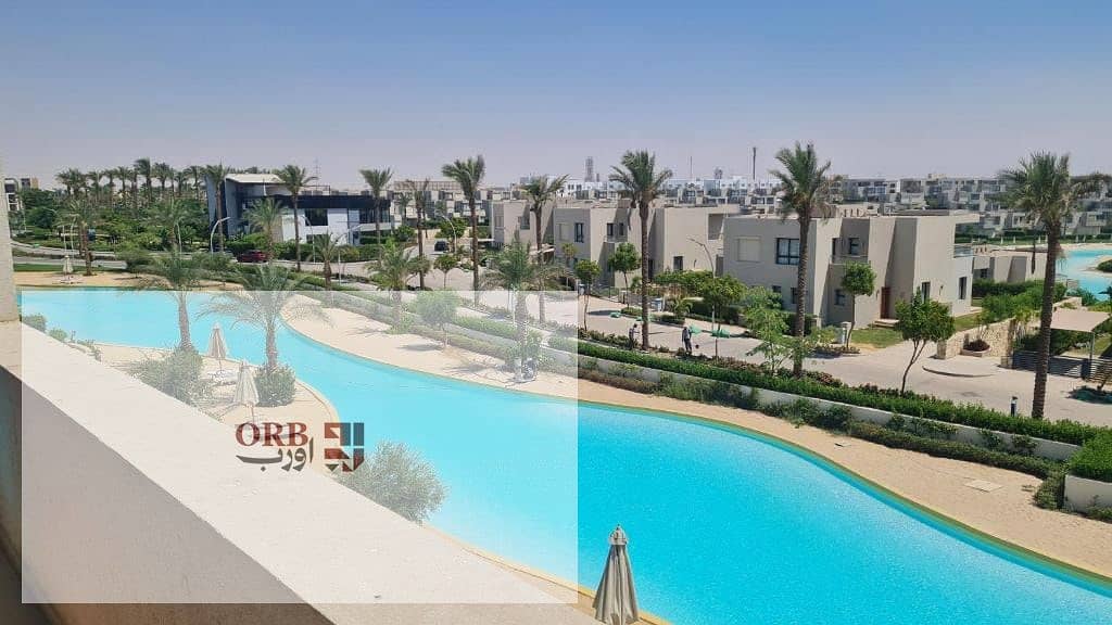 13 1000015732. jpg