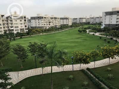 4 Bedroom Flat for Rent in Madinaty, Cairo - 46944. jpg 4 Bedroom Flat for Rent in Madinaty, Cairo - 46944. jpg