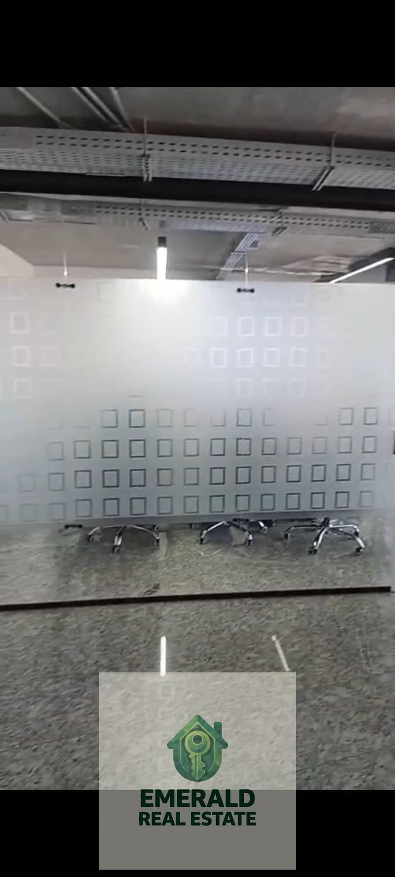 13 1000674842. jpg