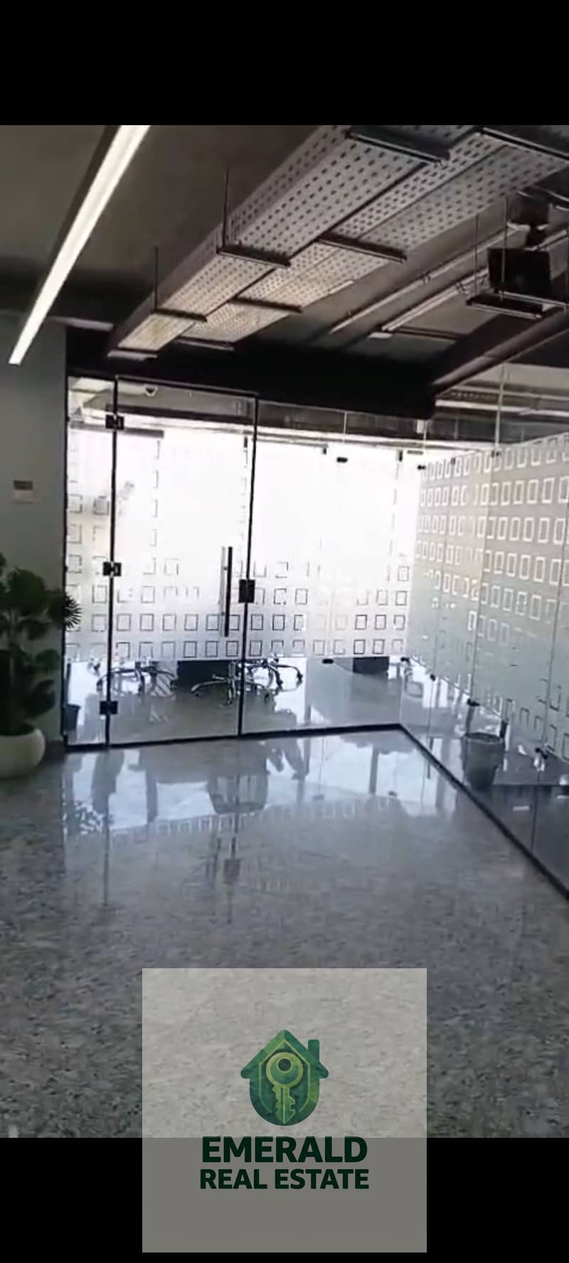 23 1000674831. jpg