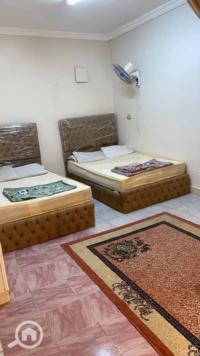 استوديو للايجار في القاهرة الجديدة، القاهرة - IMG-20260811-WA0012. jpg استوديو للايجار في القاهرة الجديدة، القاهرة - IMG-20260811-WA0012. jpg