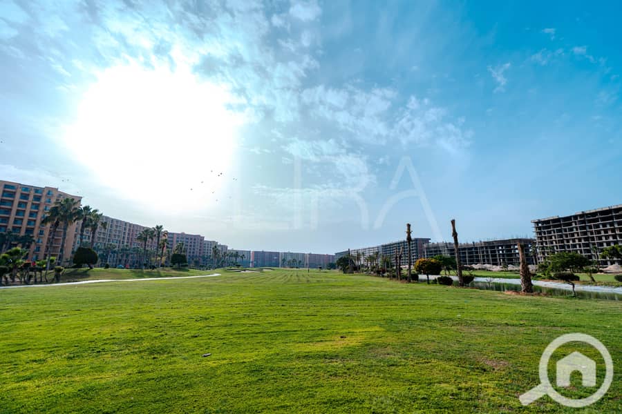 13 P-166. jpg