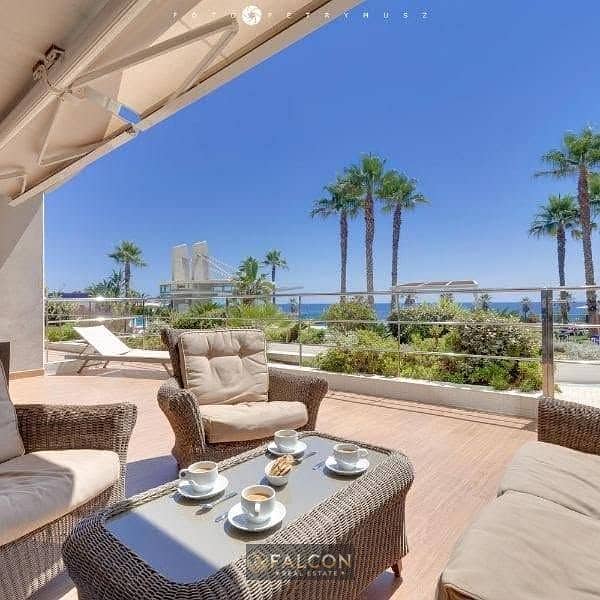 9 754453547_122120836437028162_7642605687209296763_n. jpg