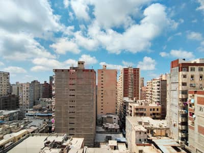 2 Bedroom Apartment for Sale in Cleopatra, Alexandria - WhatsApp Image 2026-08-11 at 12.53. 50 PM. jpg 2 Bedroom Apartment for Sale in Cleopatra, Alexandria - WhatsApp Image 2026-08-11 at 12.53. 50 PM. jpg