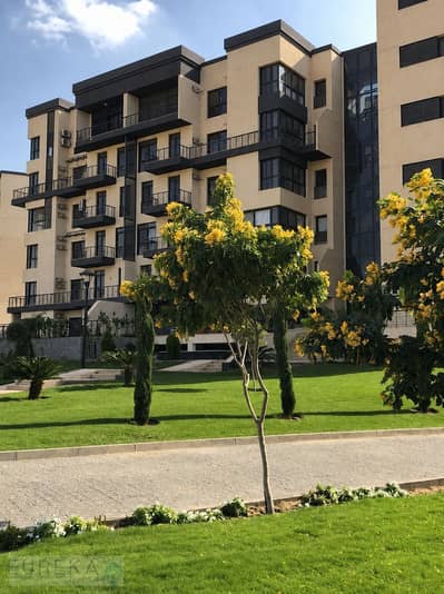 3 Bedroom Apartment for Sale in Madinaty, Cairo - 606BD06C-CF5C-4658-9531-7F924B179A80. png 3 Bedroom Apartment for Sale in Madinaty, Cairo - 606BD06C-CF5C-4658-9531-7F924B179A80. png