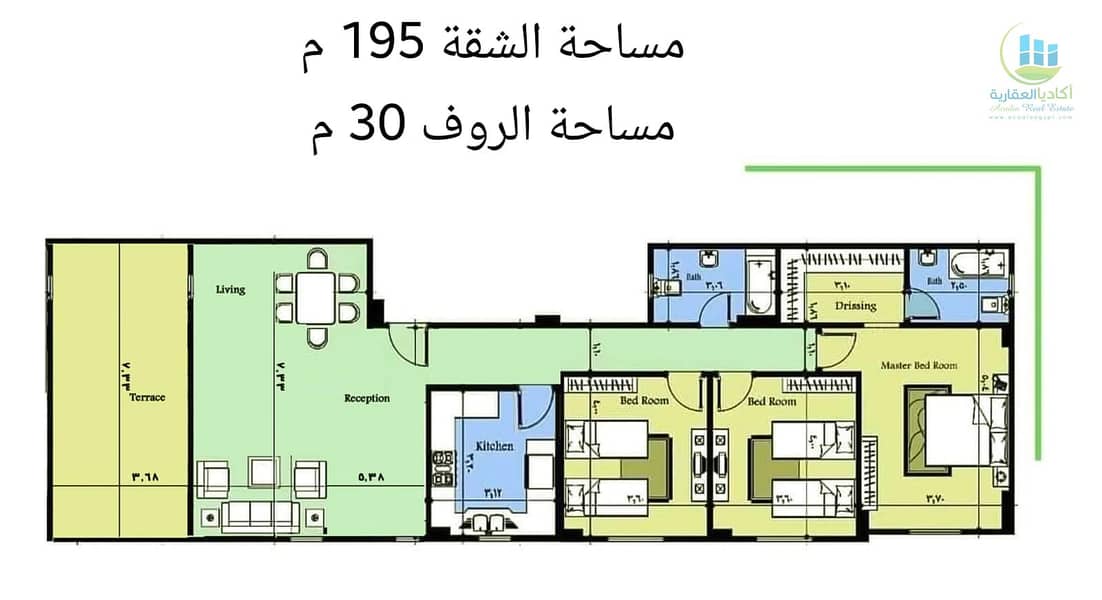 3 43667. jpg
