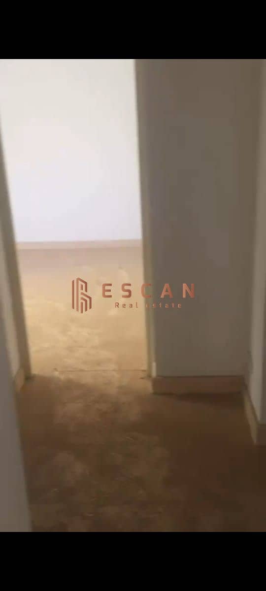 4 29c3e063-92aa-42a0-8153-c2cc09f62bb6. jpeg