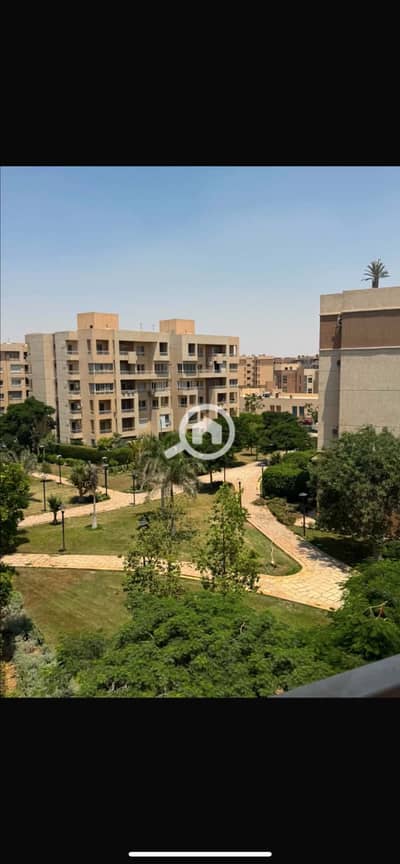 4 Bedroom Flat for Rent in Madinaty, Cairo - IMG_6427. png 4 Bedroom Flat for Rent in Madinaty, Cairo - IMG_6427. png