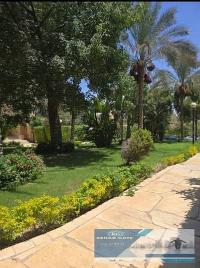 شقة 2 غرفة نوم للايجار في القاهرة الجديدة، القاهرة - WhatsApp Image 2026-08-11 at 1.27. 34 PM (1). jpeg