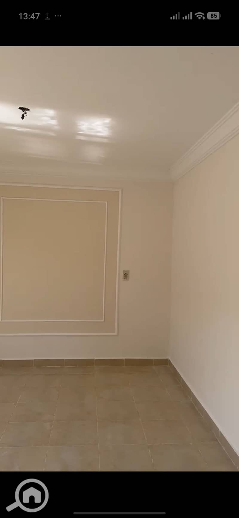 3 1000043781. jpg