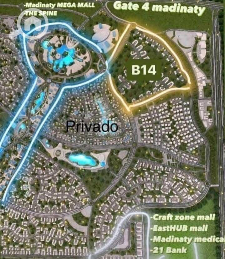 6 1000125506. jpg