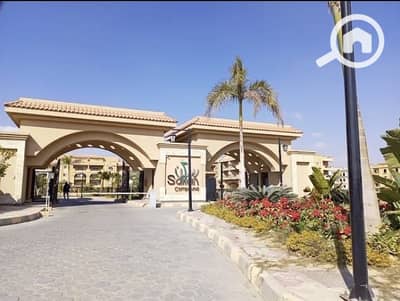 شقة 3 غرف نوم للايجار في القاهرة الجديدة، القاهرة - WhatsApp Image 2026-08-11 at 1.24. 25 PM. jpeg شقة 3 غرف نوم للايجار في القاهرة الجديدة، القاهرة - WhatsApp Image 2026-08-11 at 1.24. 25 PM. jpeg