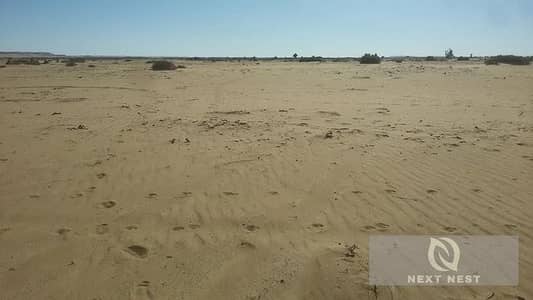 Land for Sale in 6th of October, Giza - 62ecbea4d32605878e6c008ad0508fcb. jpg