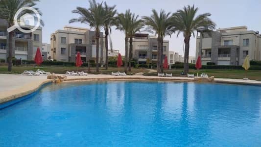 2 Bedroom Chalet for Sale in North Coast, Matruh - 8fbb360c-7c52-4895-aa34-7c4e9066c6fe. jpg 2 Bedroom Chalet for Sale in North Coast, Matruh - 8fbb360c-7c52-4895-aa34-7c4e9066c6fe. jpg