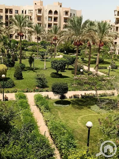 فلیٹ 2 غرفة نوم للايجار في القاهرة الجديدة، القاهرة - 288999. jpg فلیٹ 2 غرفة نوم للايجار في القاهرة الجديدة، القاهرة - 288999. jpg