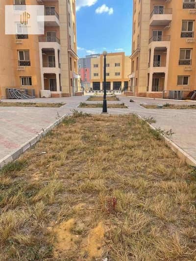 3 Bedroom Apartment for Sale in New Cairo, Cairo - WhatsApp Image 2026-08-10 at 1.27. 03 PM (1). jpeg