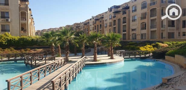 2 Bedroom Flat for Sale in Katameya, Cairo - d501f528-8d21-4bbb-abe2-3897bf2d0917 (1). jpg 2 Bedroom Flat for Sale in Katameya, Cairo - d501f528-8d21-4bbb-abe2-3897bf2d0917 (1). jpg
