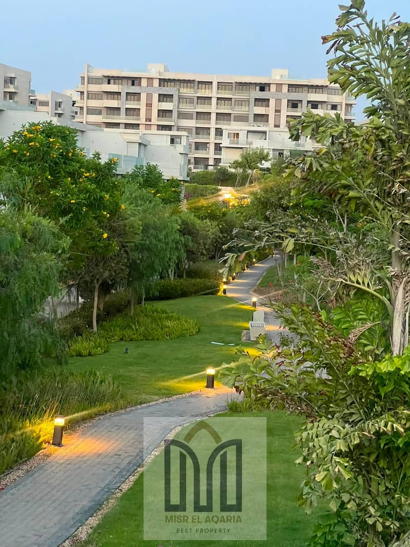 4 84d89719-af63-43d9-8a32-9a70a389af7c. jpg