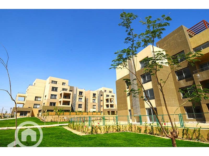 9 Palm Parks 6. jpg