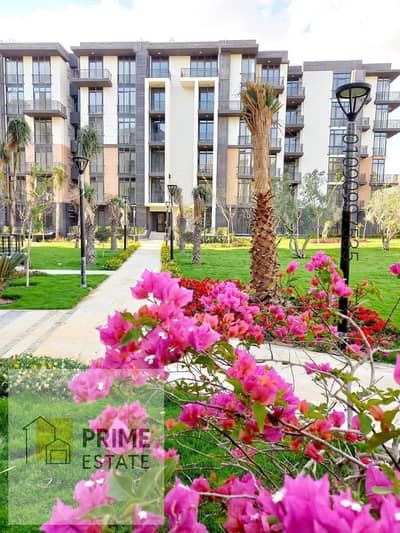 3 Bedroom Flat for Sale in Madinaty, Cairo - WhatsApp Image 2025-06-19 at 23.30. 48_6fadf055. jpg