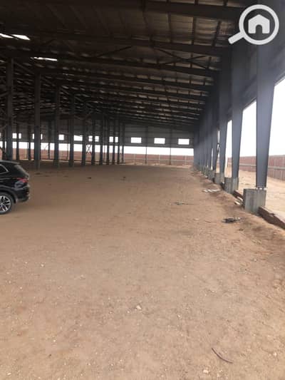Factory for Rent in 10th of Ramadan, Sharqia - 2021_11_16_16_36_IMG_6796. JPG