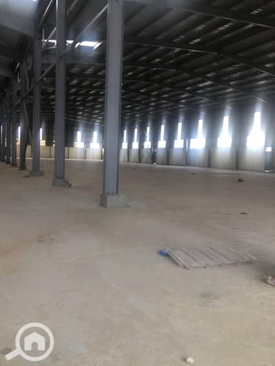 Factory for Rent in 10th of Ramadan, Sharqia - 2022_03_21_16_08_IMG_9011. JPG