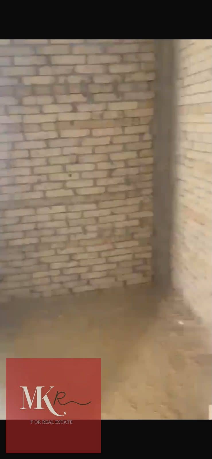 8 1000459917. jpg