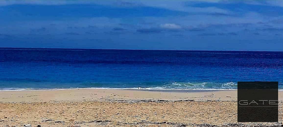 3 WhatsApp Image 2026-06-14 at 4.20. 49 PM (1). jpeg