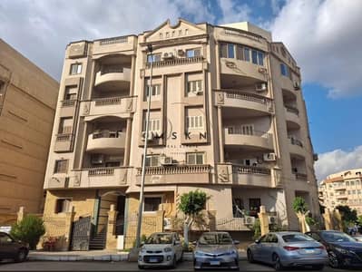 دوبلكس 3 غرف نوم للبيع في القاهرة الجديدة، القاهرة - photo_2026-08-12 17.51. 52. jpeg دوبلكس 3 غرف نوم للبيع في القاهرة الجديدة، القاهرة - photo_2026-08-12 17.51. 52. jpeg
