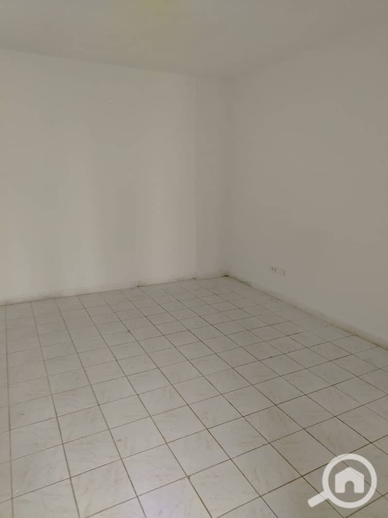 3 289782. jpg