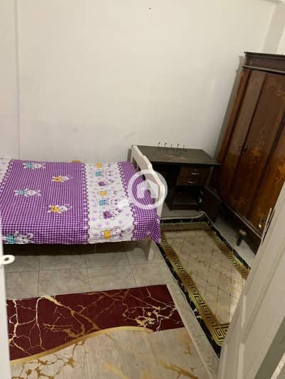 3 Bedroom Flat for Rent in Zagazig, Sharqia - da067cc3-21c2-4a1c-9b87-4fa5056f4f3e. jpg 3 Bedroom Flat for Rent in Zagazig, Sharqia - da067cc3-21c2-4a1c-9b87-4fa5056f4f3e. jpg