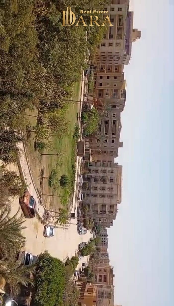 4 1000133123. jpg
