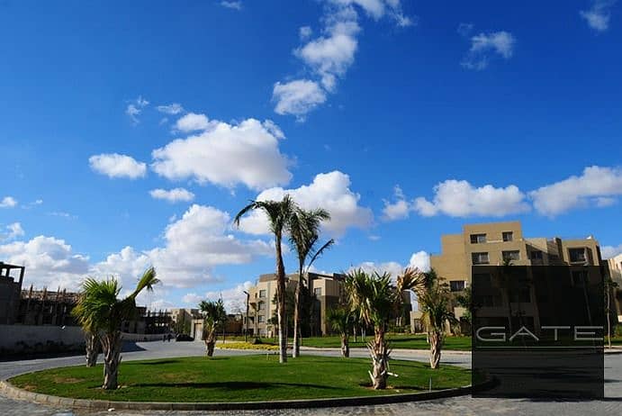 7 Palm-Parks. jpg