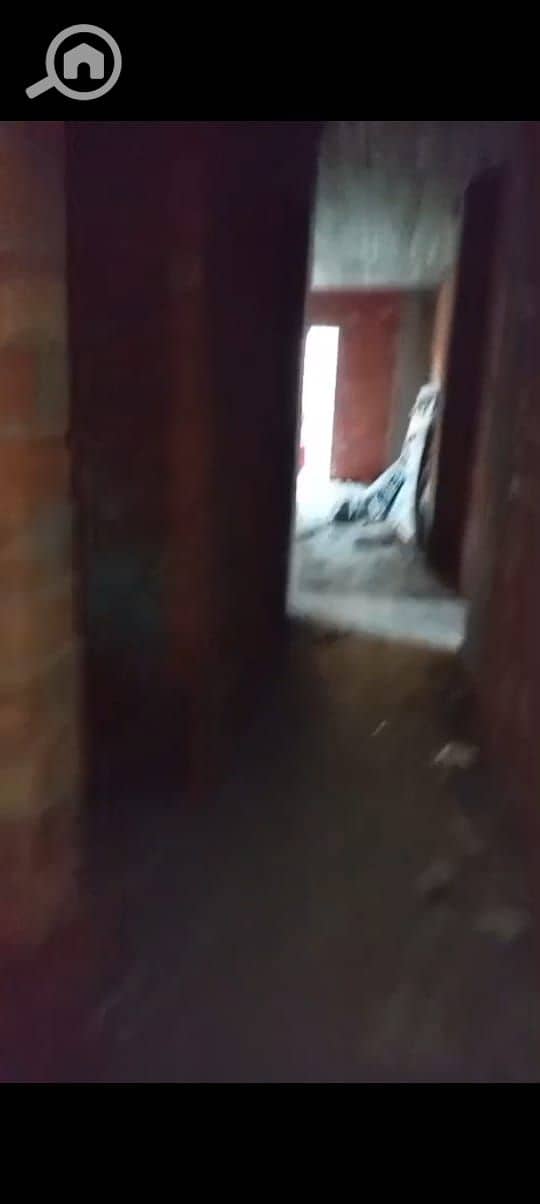 5 WhatsApp Image 2026-08-12 at 19.31. 46. jpeg