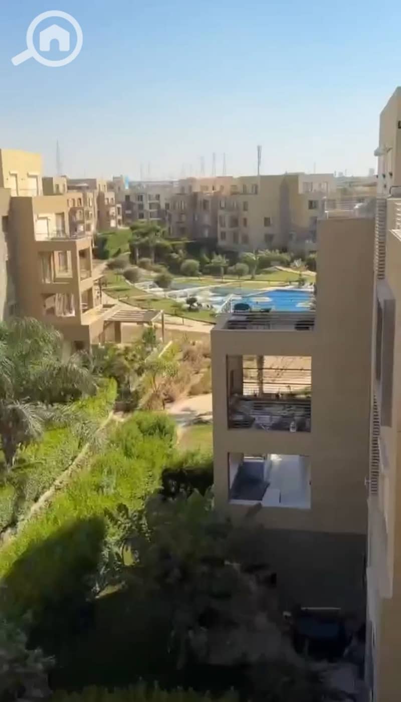 3 1001233440. jpg