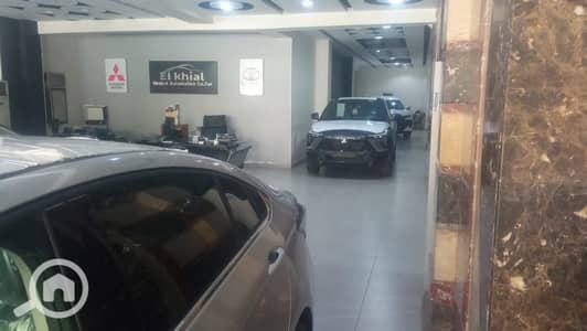Showroom for Sale in Tanta, Gharbia - WhatsApp Image 2026-08-11 at 2.16. 15 PM. jpeg