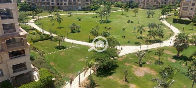 3 Bedroom Flat for Sale in Madinaty, Cairo - 1000281222. jpg 3 Bedroom Flat for Sale in Madinaty, Cairo - 1000281222. jpg