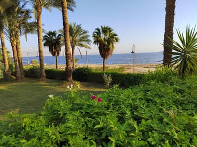 شاليه 3 غرف نوم للبيع في يوسف الصديق، الفيوم - شاليه في الفيوم على بحيرة قارون مباشرة شاليه 3 غرف نوم للبيع في يوسف الصديق، الفيوم - شاليه في الفيوم على بحيرة قارون مباشرة