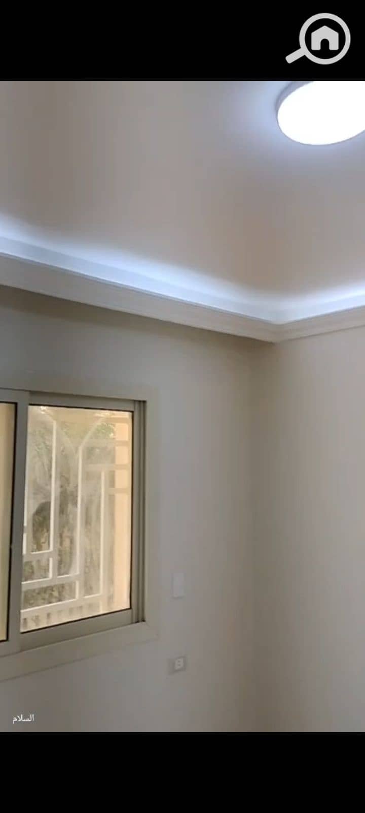 9 1000075506. jpg