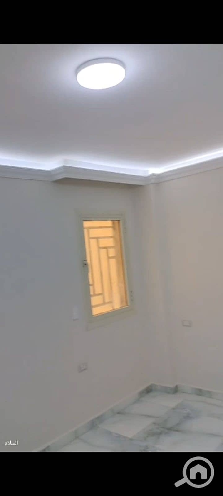 17 1000075516. jpg