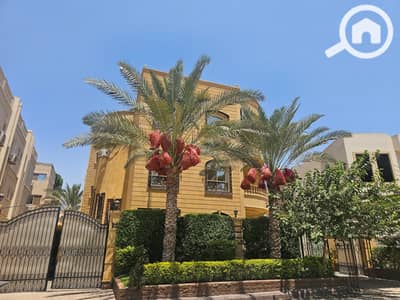 10+ Beds Villa for Sale in New Cairo, Cairo - 1000753900. jpg