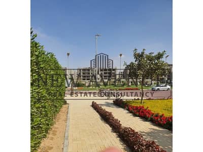 3 Bedroom Flat for Sale in New Cairo, Cairo - WhatsApp Image 2026-08-12 at 3.40. 26 PM (3). jpg