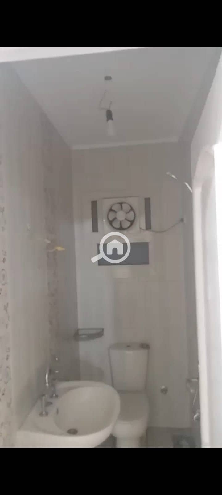 10 288555. jpg
