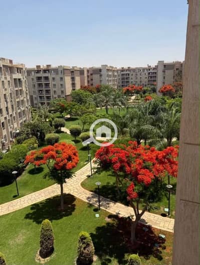 2 Bedroom Flat for Sale in Madinaty, Cairo - 15f62505-f7f6-4439-8242-dd16c9d17cd0. jpg 2 Bedroom Flat for Sale in Madinaty, Cairo - 15f62505-f7f6-4439-8242-dd16c9d17cd0. jpg